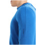 Męska bluza Icebreaker Quantum III LS Zip Hoodie