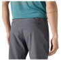 Spodnie męskie Patagonia M's Terravia Trail Pants