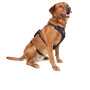 Szelki dla psa Mountain Paws 3-Strap Dog Harness