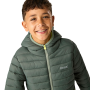 Dziecięca kurtka zimowa Regatta Junior Hooded Marizion Dark Forrest Green