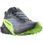 Buty do biegania dla mężczyzn Salomon Sense Ride 5 Gore-Tex szary Flint Stone / Black / Green Gecko