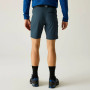 Spodenki męskie Regatta Xert Stretch Shorts