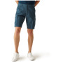 Męskie szorty Regatta Ruwan Shorts
