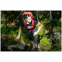 Spodnie damskie High Point Versa Lady Pants
