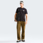 Koszulka męska The North Face M Nse Reg Ss Tee-Graphic