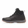 Buty męskie Columbia Landroamer™ Explorer WP