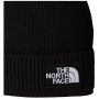 Męska czapka The North Face Tnf Logo Box Cuffed Beanie