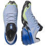 Buty do biegania dla mężczyzn Salomon Speedcross 6 GTX Icon