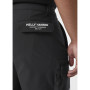 Męskie szorty Helly Hansen Move Qd Shorts