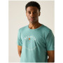 Koszulka męska Regatta Cline IX