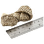 Przysmaki dla psów Fish4Dogs Dental Sea Jerky Fish Knots 100g