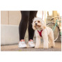 Szelki dla psa Curli Vest Clasp Air-Mesh