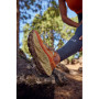 Damskie buty do biegania New Balance Fresh Foam X More Trail v3