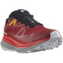 Buty do biegania dla mężczyzn Salomon Ultra Glide 2 Gore-Tex czerwony Biking Red / Frost Gray / Turmeric