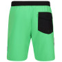 Męski strój kąpielowy Regatta Bentham swim short