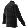 Męska kurtka puchowa Adidas Mt Down Jacket