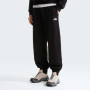 Męskie spodnie dresowe The North Face Essential Terry Simple Dome Relaxe