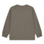 T-shirt dziecięcy Lego Wear Lwtaj 608 Brown