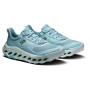 Damskie buty turystyczne On Running Cloudhorizon 2