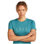 Koszulka damska Icebreaker Women Merino 150 Tech Lite SS Tee Snow Day