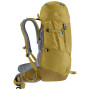 Plecak dla juniora Deuter Fox 30