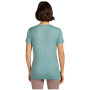 Koszulka damska Icebreaker Women Merino 150 Tech Lite SS Tee Terrain