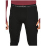 Męskie kalesony Icebreaker Men 300 MerinoFine™ Polar Leggings