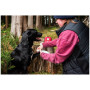 Apteczka dla psa Mountain Paws Dog First Aid Kit