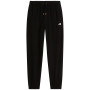 Męskie spodnie dresowe The North Face Essential Terry Simple Dome Relaxe czarny TNF BLACK