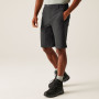 Męskie szorty Regatta Highton Shorts Long II
