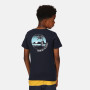 T-shirt dziecięcy Regatta Bosley VI