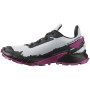 Damskie buty do biegania Salomon Alphacross 4