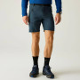 Spodenki męskie Regatta Xert Stretch Shorts