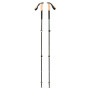 Kije trekkingowe Black Diamond Trail Cork Trekking Poles