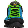 Buty męskie Salewa Ms Mtn Trainer 2 Gtx