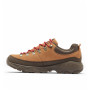 Buty męskie Columbia Newton Alpine™ Low