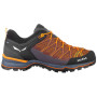 Buty męskie Salewa Ms Mtn Trainer Lite