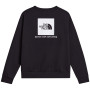 Bluza męska The North Face M Evolution Box Nse Regular Crew