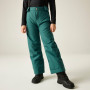 Dziecięce spodnie narciarskie Dare 2b Outmove III Insulated Pant Mediterranea