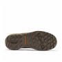 Buty męskie Columbia Newton Alpine™ Low