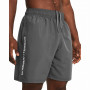 Męskie szorty Under Armour Woven Wdmk Shorts