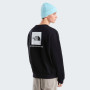 Bluza męska The North Face M Evolution Box Nse Regular Crew