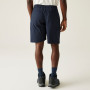 Męskie szorty Regatta Mallen Shorts