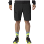 Spodenki męskie Dynafit Traverse Hybrid Shorts M
