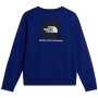 Bluza męska The North Face M Evolution Box Nse Regular Crew