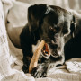 Zabawka dla psa Explorer Dog Antler Chew easy