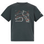 T-shirt dziecięcy Regatta Alvarado Seal Grey szary Seal Grey