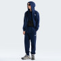 Bluza męska The North Face M Evolution Simple Dome Regular Full Zip