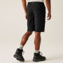 Męskie szorty Regatta Highton Shorts Long II