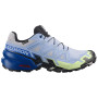 Buty do biegania dla mężczyzn Salomon Speedcross 6 GTX Icon